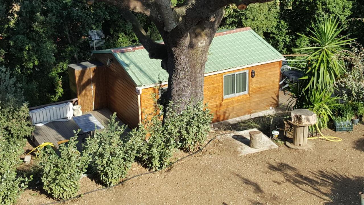 Le Petit Chalet Porticcio (Corsica) Exterior foto