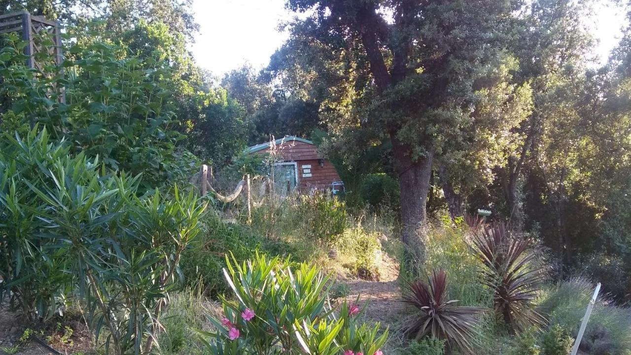 Le Petit Chalet Porticcio (Corsica) Exterior foto